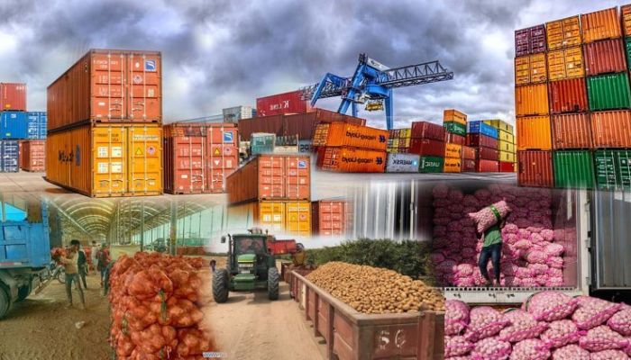 How Malaysia and Colombia’s Export Strategies Can Transform Nigeria’s Agricultural Sector
