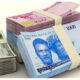 Naira Notes