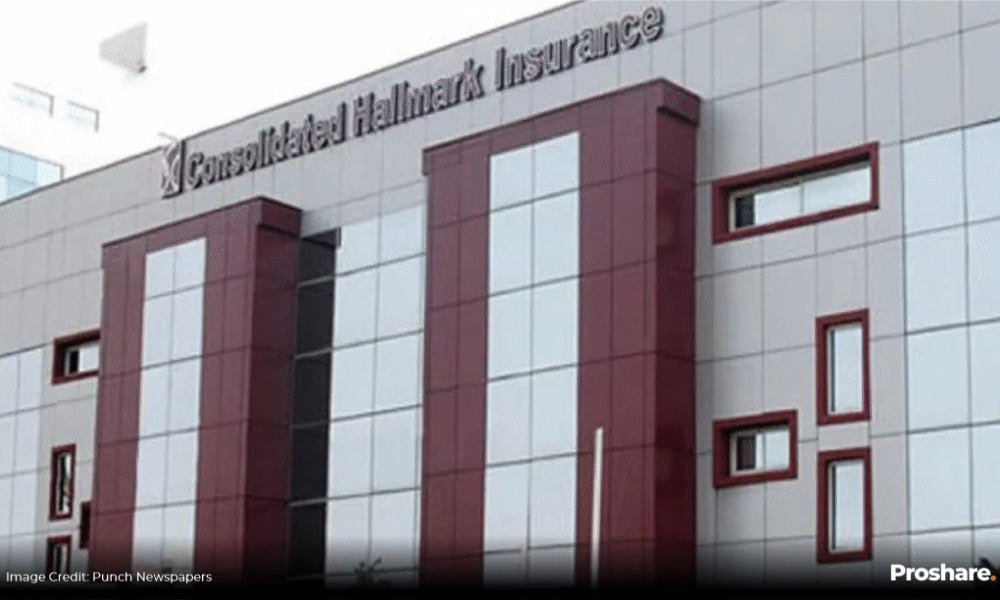 Consolidated Hallmark Approves Key Board and Audit Changes at AGM