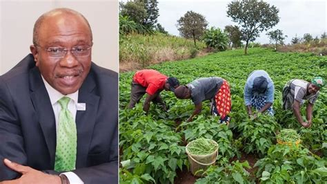 CBN Orders Agric Fund to Boost Credit for Nigerian Farmers