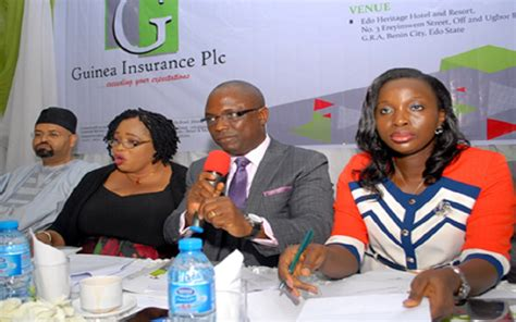 Guinea Insurance to Raise ₦15bn via Rights Issue, Private Placement