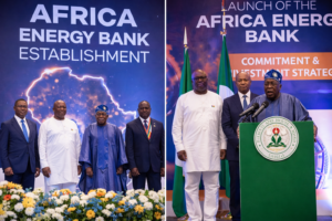 FG Pledges Extra Funding to Launch Africa Energy&hellip;