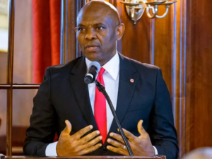 Public-Private Synergy Critical to African Agriculture-Elumelu