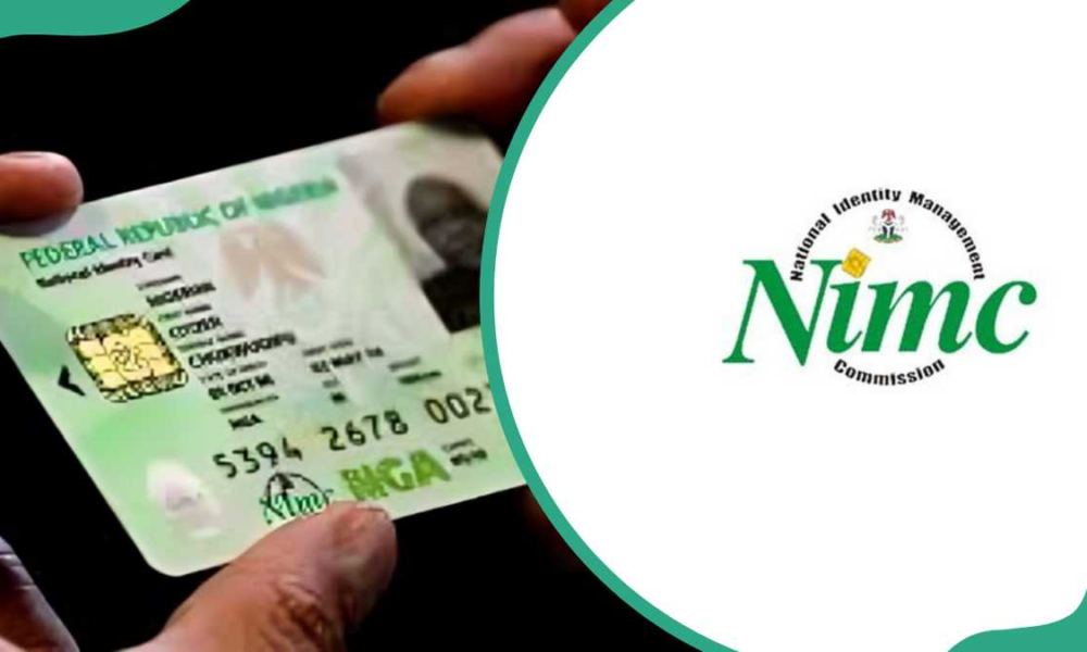 Nigerians abroad can now register for NIN remotely