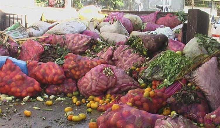 Nigeria loses 50% of food produced in Lagos– Stakeholders push for large-scale farming